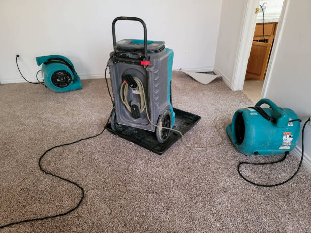 Best Fire Damage Restoration  in Dravosburg, PA