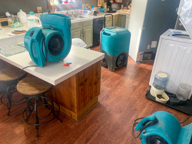 Best Residential water damage restoration  in Dravosburg, PA