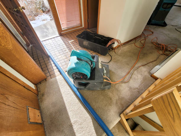 Water damage restoration mold remediation in Dravosburg, PA