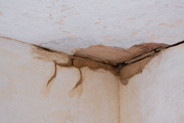 Best Mold removal after water damage  in Dravosburg, PA