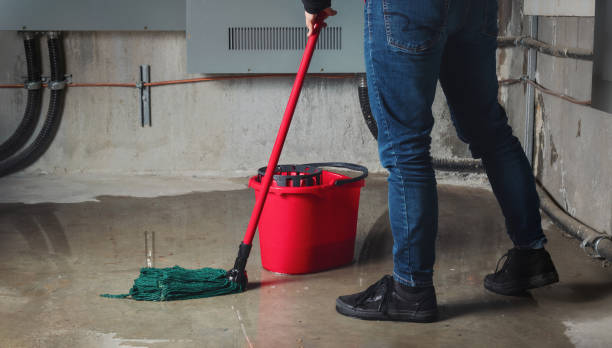 Best Water damage cleanup near me  in Dravosburg, PA