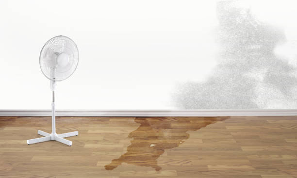 Best Commercial water damage restoration  in Dravosburg, PA