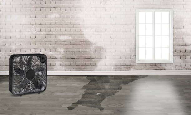Best 24/7 water damage repair  in Dravosburg, PA