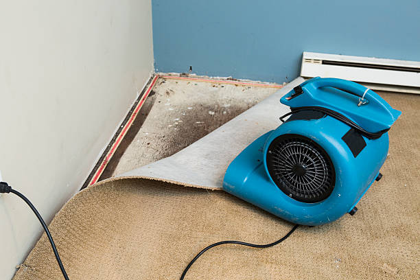 Carpet water damage restoration in Dravosburg, PA